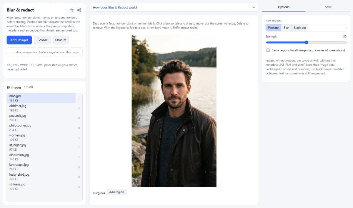 Screenshot of Blur & Redact in the browser, with sample files loaded